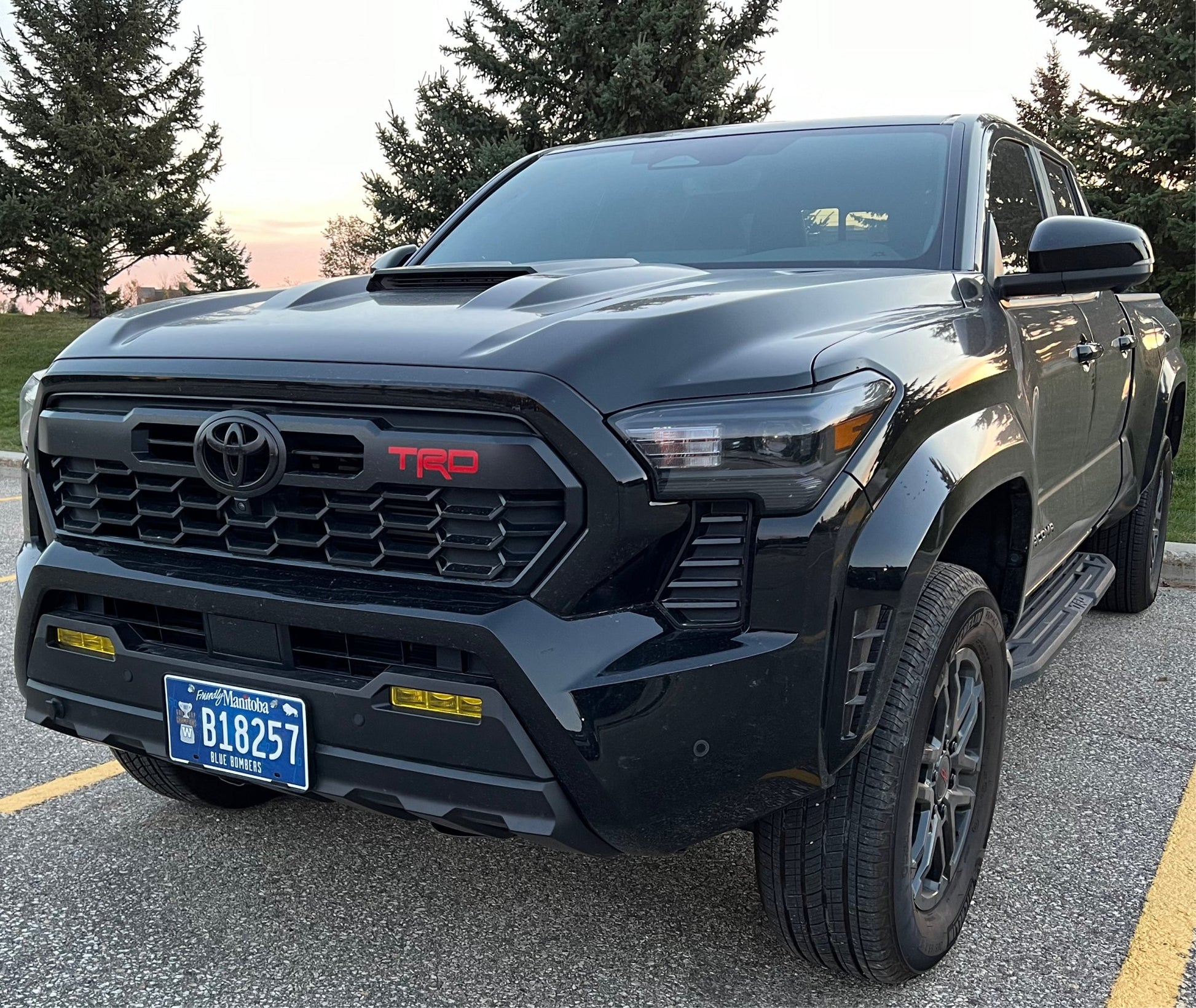 2024 Tacoma Yellow Fog Light Tint Film - PRECUT - Madd Decals