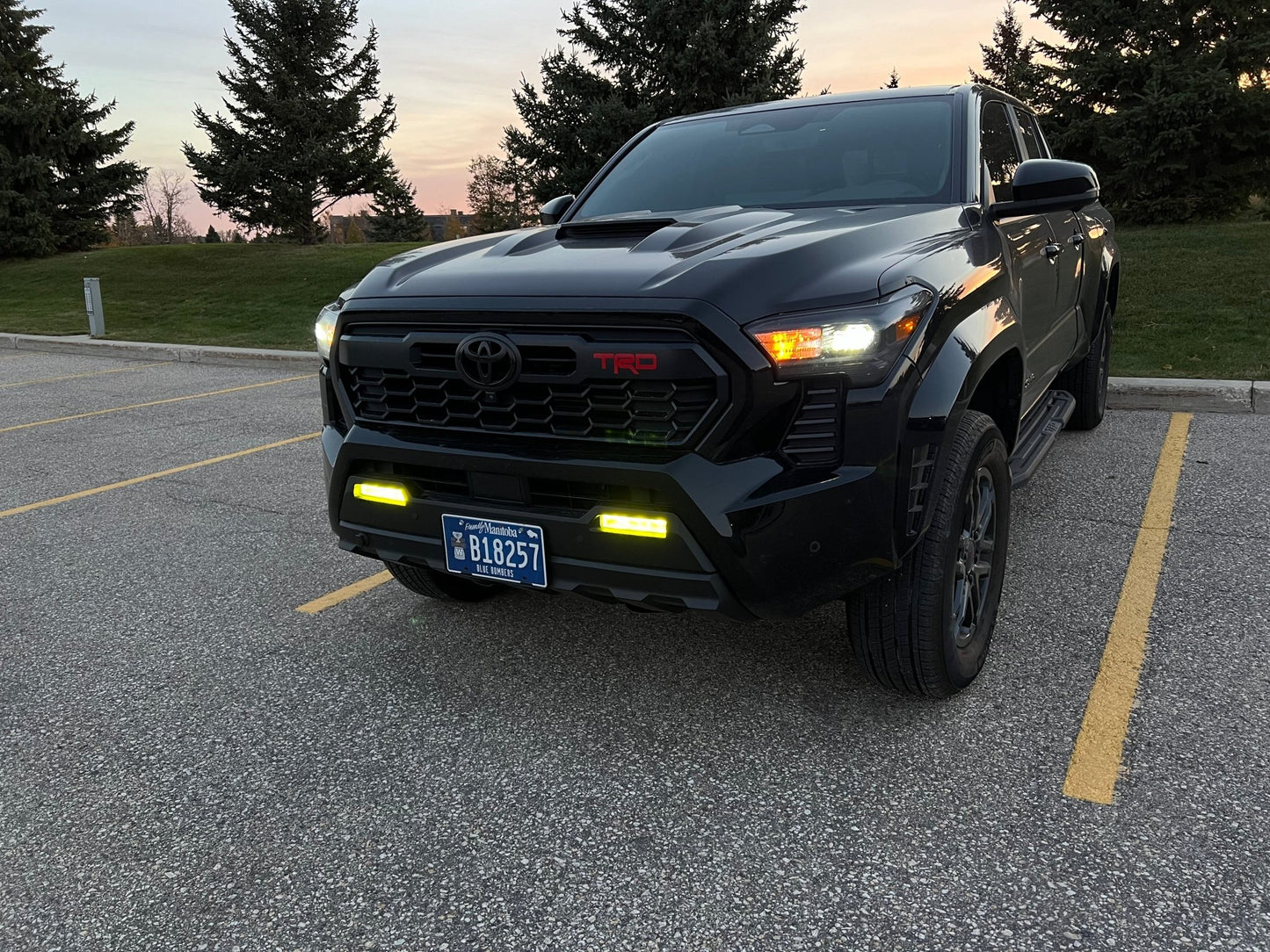 2024 Tacoma Yellow Fog Light Tint Film - PRECUT - Madd Decals