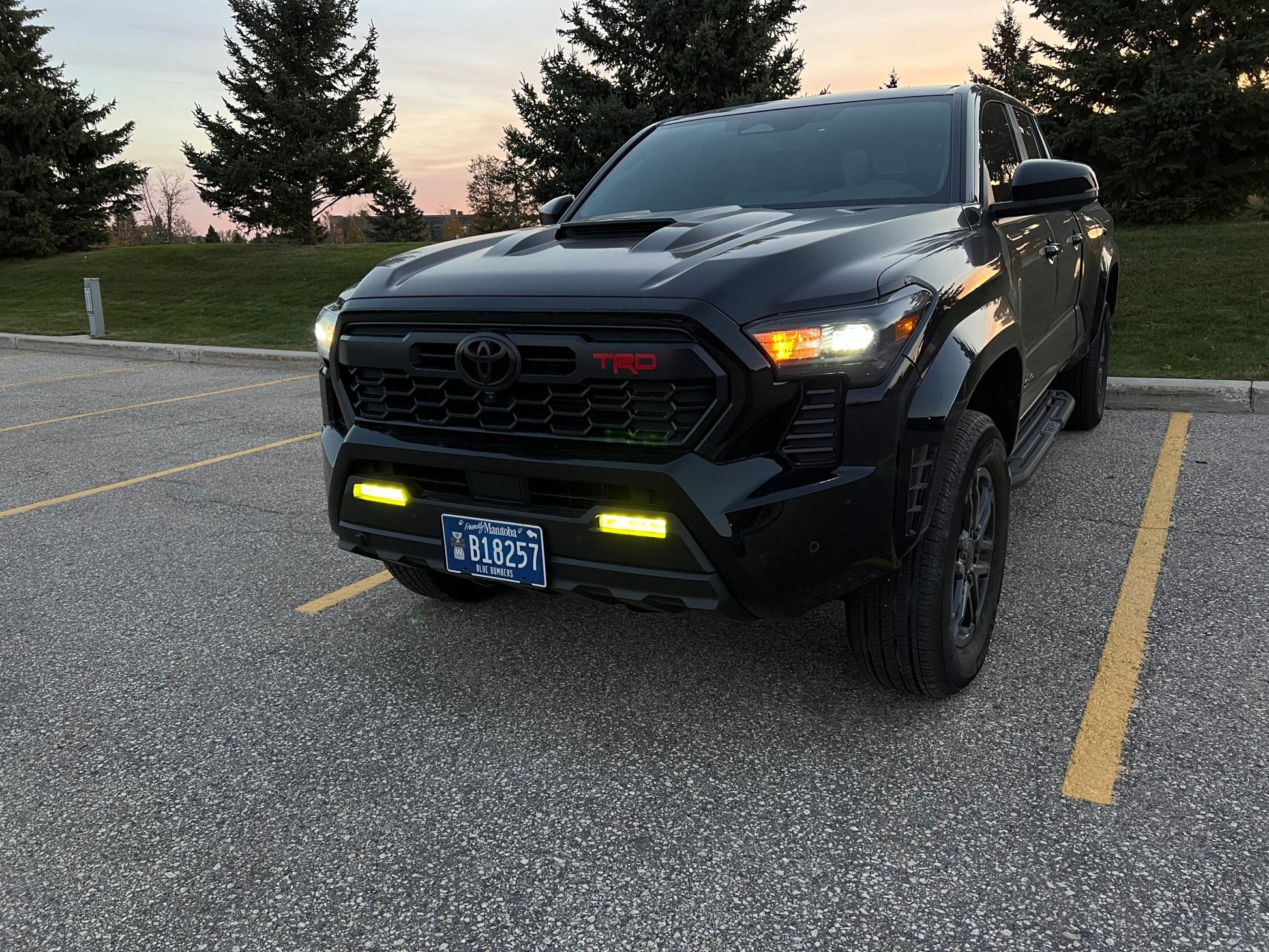 2024 Tacoma Yellow Fog Light Tint Film - PRECUT - Madd Decals