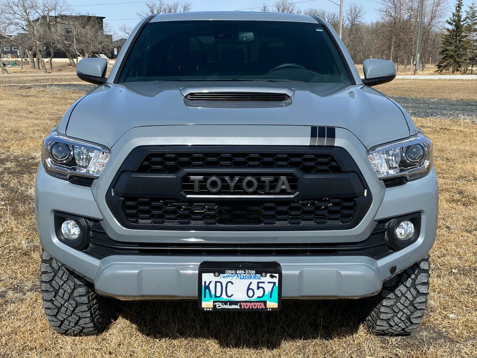 Tacoma Upper Grille 3 Racing Stripe Decals - Madd Decals